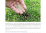 write best engaging SEO articles on gardening and home decor